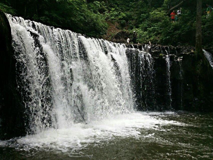 虫虫助手下载
